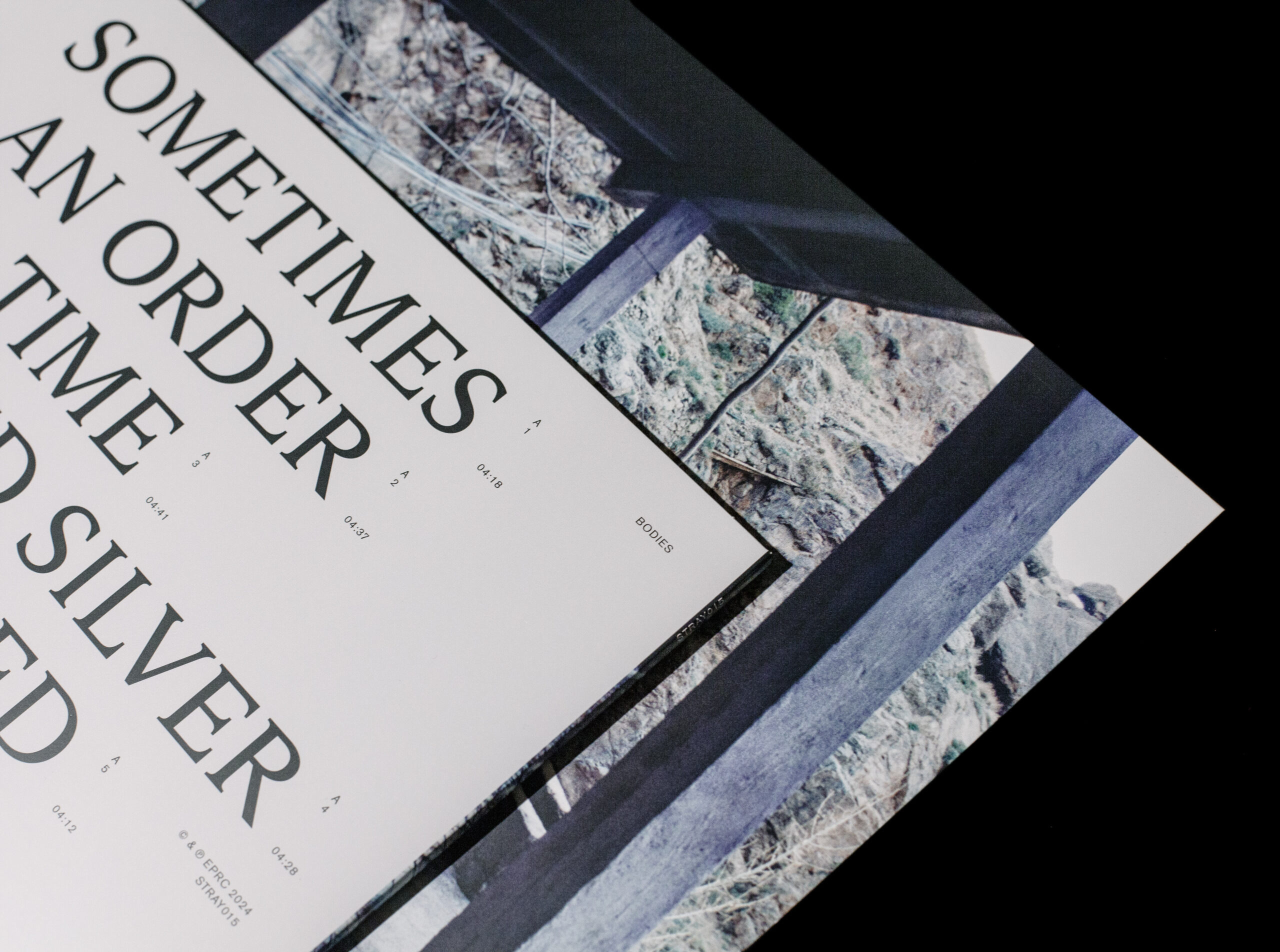 IMG_0803  bandcamp 2